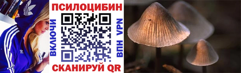 купить закладку  Лукоянов  Галлюциногенные грибы прущие грибы 